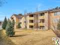 Photo 2 bd, 2 ba, 860 sqft House for rent - Cottonwood Heights, Utah