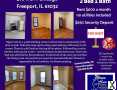 Photo 2 bd, 1 ba, 700 sqft Home for rent - Freeport, Illinois