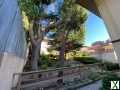 Photo 1 bd, 1 ba, 655 sqft Apartment for rent - Pacific Grove, California