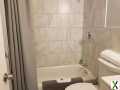 Photo 1 bd, 1 ba, 495 sqft Home for rent - Hamtramck, Michigan