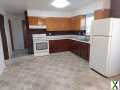 Photo 3 bd, 1 ba, 11000 sqft Apartment for rent - Brookfield, Illinois