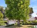 Photo 4 bd, 2 ba, 1256 sqft Home for sale - Rancho Cordova, California