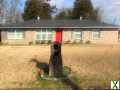 Photo 3 bd, 2 ba, 2800 sqft Home for rent - Selma, Alabama