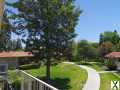 Photo 2 bd, 2 ba, 670 sqft Condo for rent - Laguna Woods, California