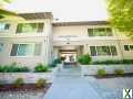 Photo 1 bd, 2 ba, 967 sqft Apartment for rent - Moraga, California