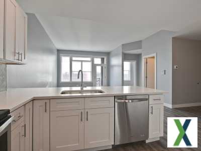 Photo 3 bd, 2 ba, 1200 sqft Apartment for rent - Brookfield, Illinois