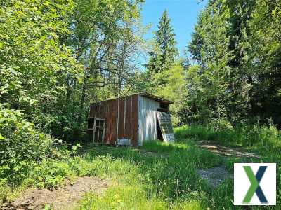 Photo 3 bd, 2 ba, 5.38 Acres Home for sale - Centralia, Washington