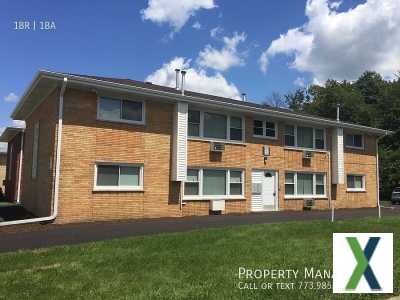 Photo 1 bd, 1 ba, 1264 sqft House for rent - Homer Glen, Illinois